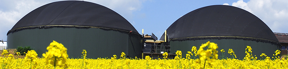 Kategoriebild Biogasanlage